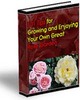 Thumbnail 101 Tips for Growing and Enjoying Your Own Great Rose Garden Thumbnail 101 Tips for Growing and Enjoying Your Own Great Rose Garden