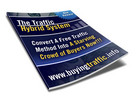 Thumbnail The Traffic Hybrid System -Master Resale Rights