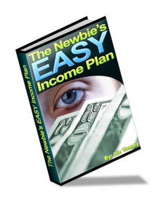Product picture The Newbies Easy Income Plan - Mrr