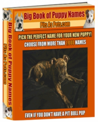 Product picture Big Book of Puppy Names - Mrr!