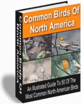 Product picture Common Birds Of North America