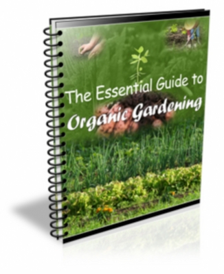 Product picture The Essential Guide to Organic Gardening - With Master Resale Rights!