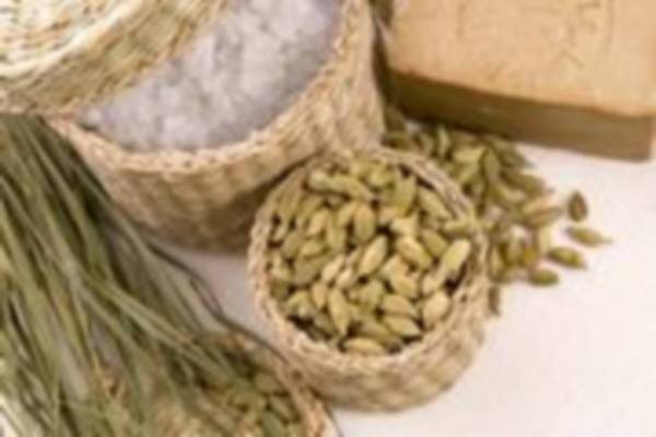 Product picture Natural Remedies - 10 PLR Article Pack