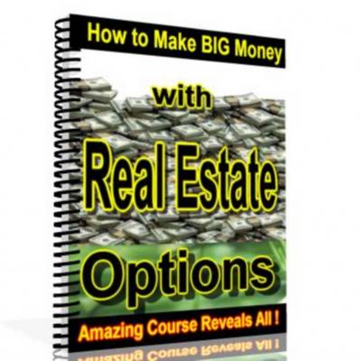 Product picture The King Of Real Estate Strategies Revealed - With Resale Rights
