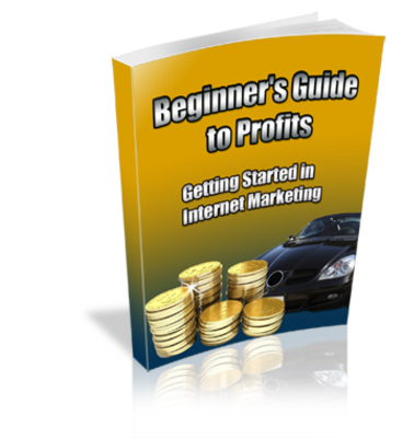Product picture Beginners Guide To Profits Plr!