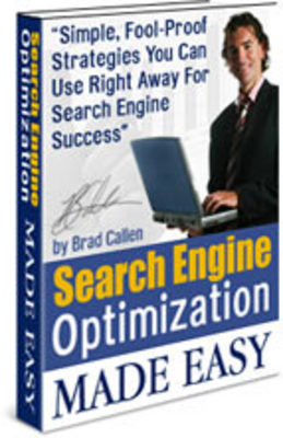 Product picture Search Engine Optimization Success Made Easy