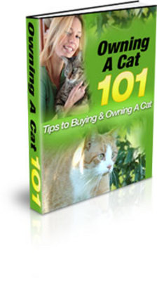 Product picture Owning a Cat - Tips On Buying and Owning a Cat