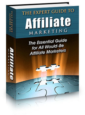 Product picture Expert guide to Affiliate Marketing - PLR