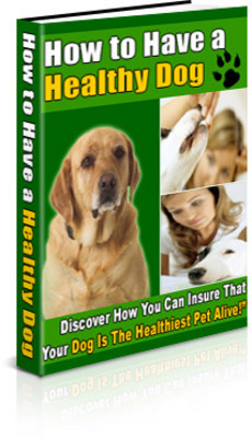 Product picture How To Have A Healthy Dog!