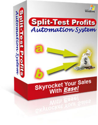 Product picture Split Test Profits with Success! - Plr!