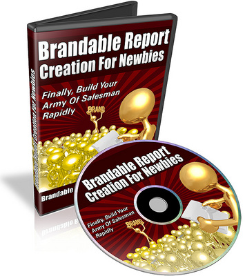 Product picture Brandable Report Creation For Newbies