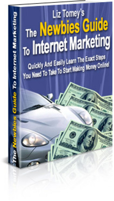 Product picture The Newbies Guide To Internet Marketing - MRR