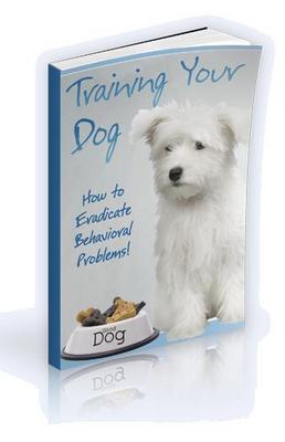 Product picture Training Your Dog - Mrr