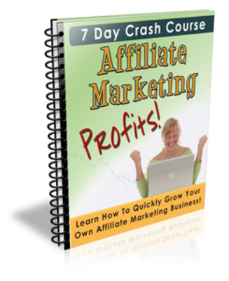Product picture Affiliate Marketing Profits - Plr!