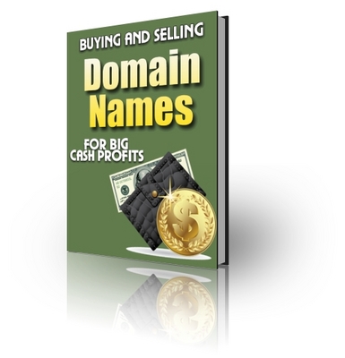Product picture Buying and Selling Domain Names For Big Cash Profits(PLR)