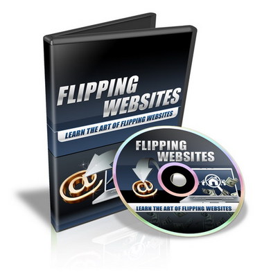 Product picture Flipping Websites Video Series